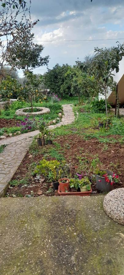 A Modern Farmhouse With Big Garden Trápeza Extérieur photo