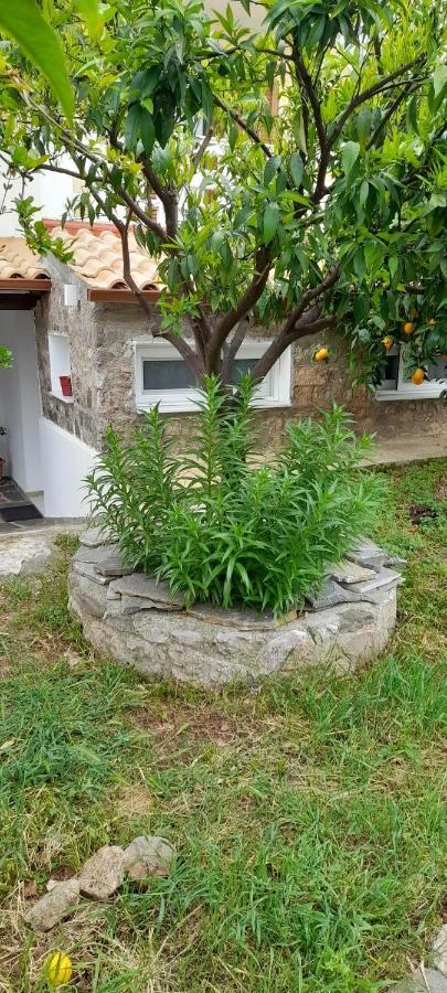 A Modern Farmhouse With Big Garden Trápeza Extérieur photo