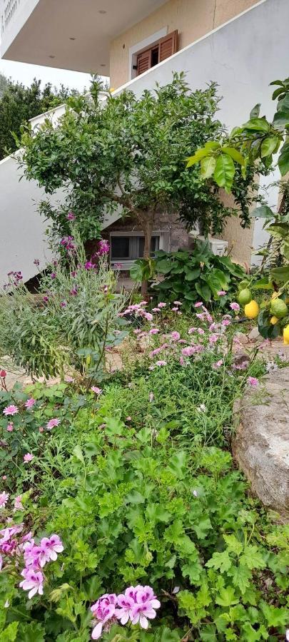 A Modern Farmhouse With Big Garden Trápeza Extérieur photo