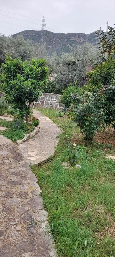 A Modern Farmhouse With Big Garden Trápeza Extérieur photo